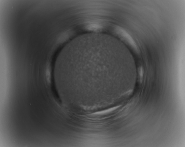 X0000092290404200709211217