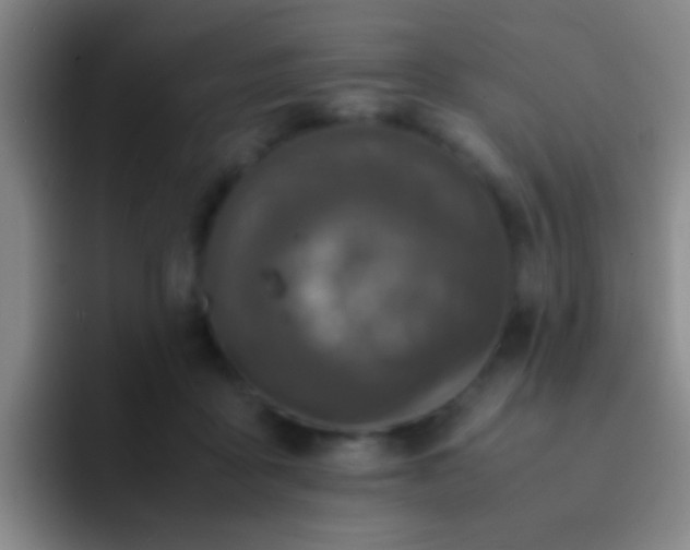 X0000092290411200709211217