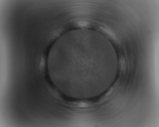 X0000092290412200709211217