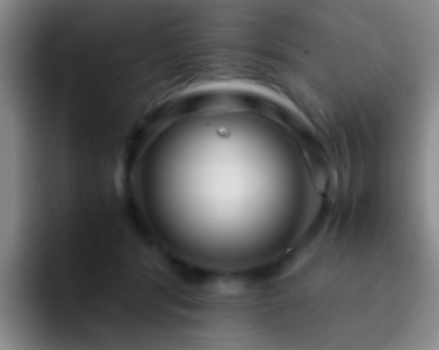 X0000092290416200709211217