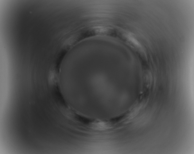 X0000092290419200709211217