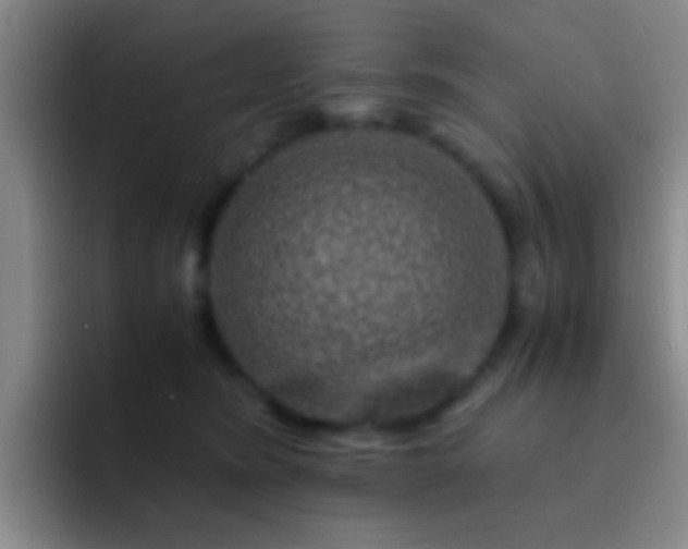 X0000092290420200709211217