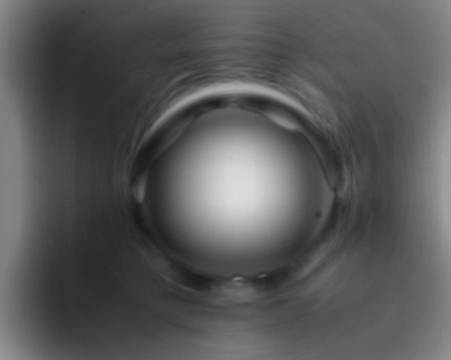 X0000092290421200709211217