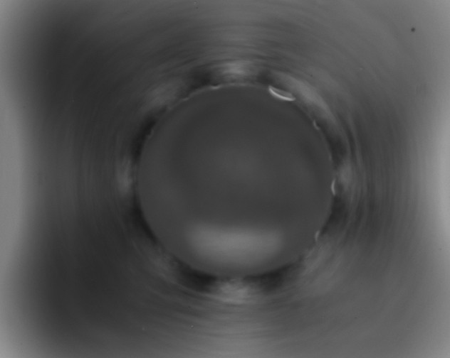 X0000092290423200709211217