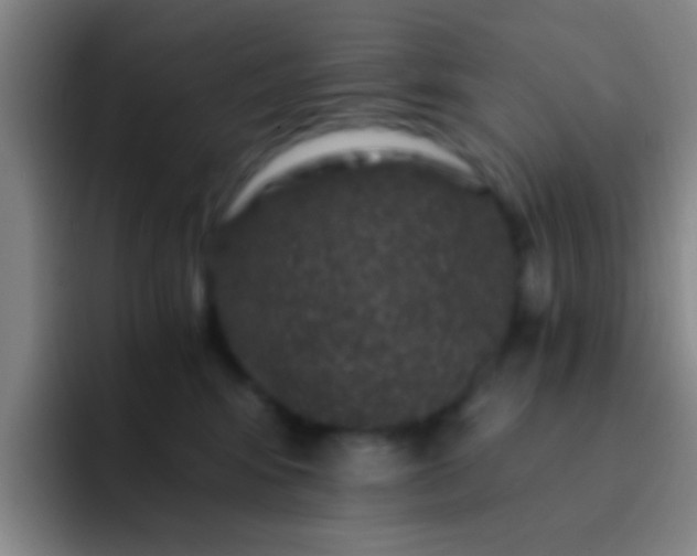 X0000092290424200709211217