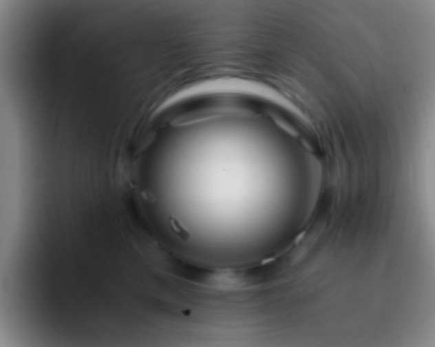 X0000092290425200709211217