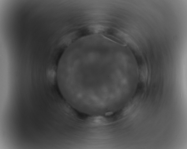 X0000092290427200709211216