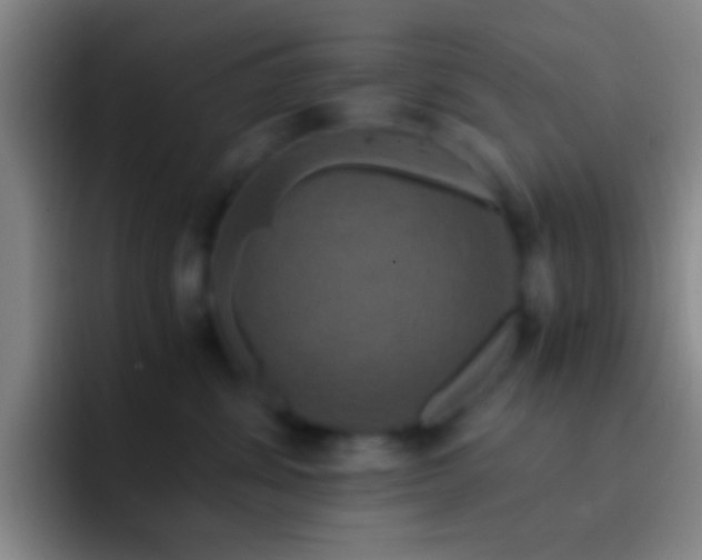 X0000092290428200709211216