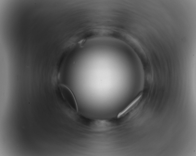 X0000092290429200709211216