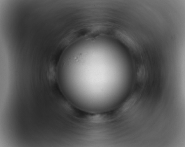 X0000092290430200709211216