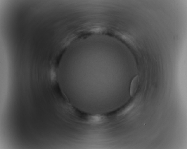 X0000092290432200709211216