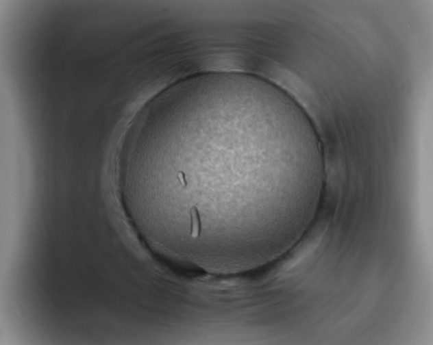 X0000092290433200709211216