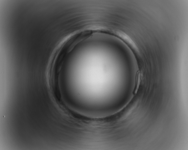 X0000092290436200709211216