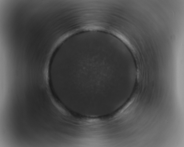 X0000092290438200709211216