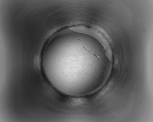 X0000092290439200709211216