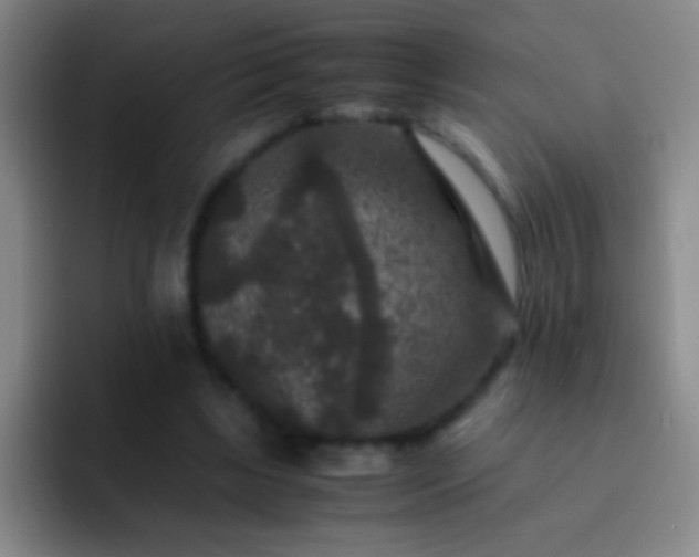 X0000092290443200709211216