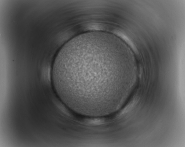 X0000092290445200709211216