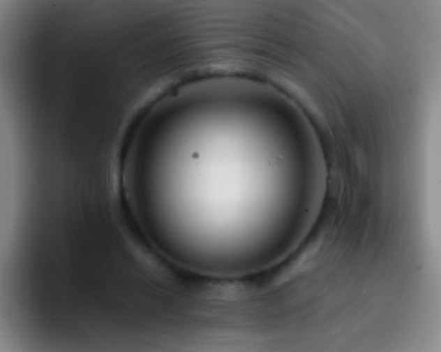 X0000092290446200709211216