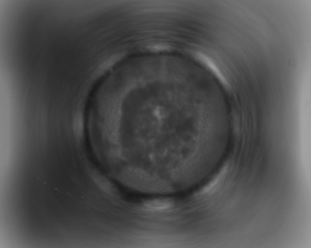 X0000092290447200709211216