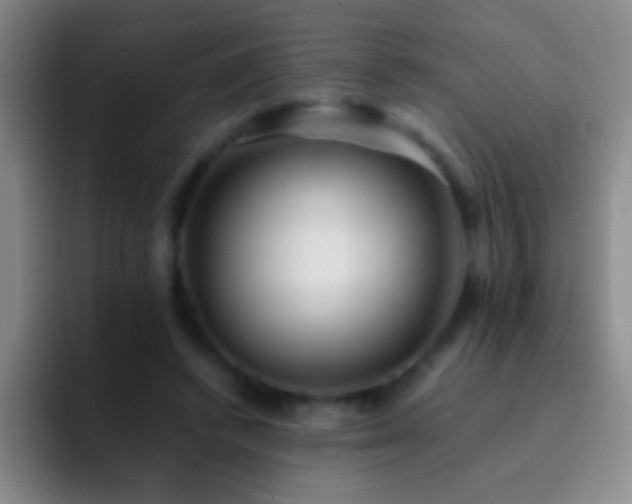 X0000092290448200709211216