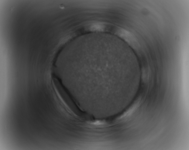 X0000092290449200709211216