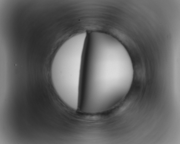 X0000092290450200709211216