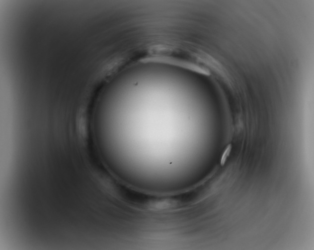 X0000092290452200709211216