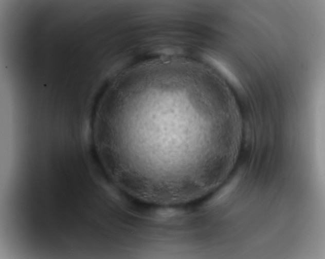 X0000092290453200709211216