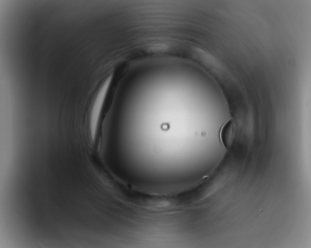 X0000092290454200709211216