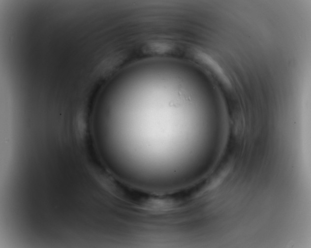 X0000092290455200709211216