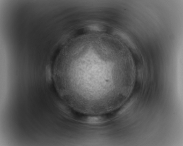 X0000092290457200709211216