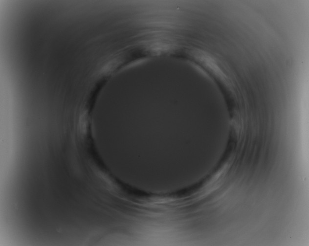 X0000092290458200709211216