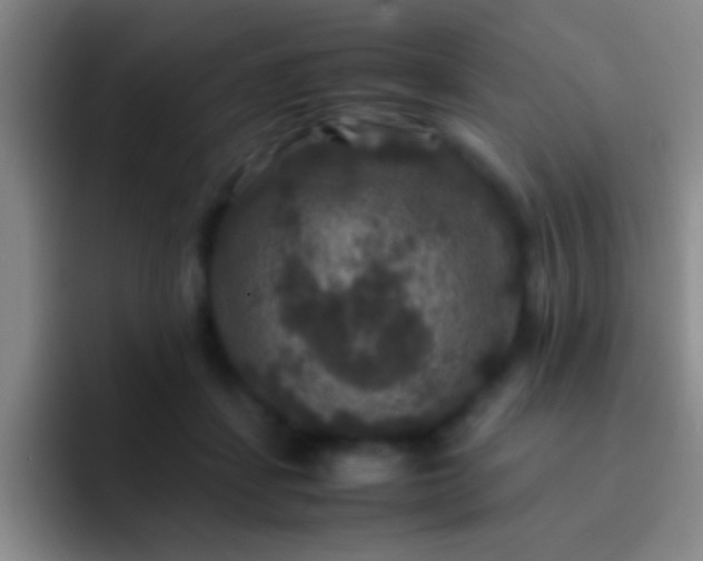 X0000092290459200709211216