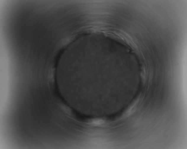 X0000092290462200709211216