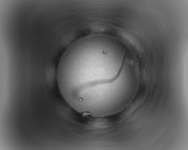 X0000092290463200709211216