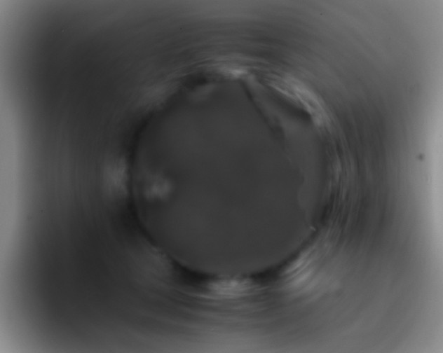 X0000092290465200709211216