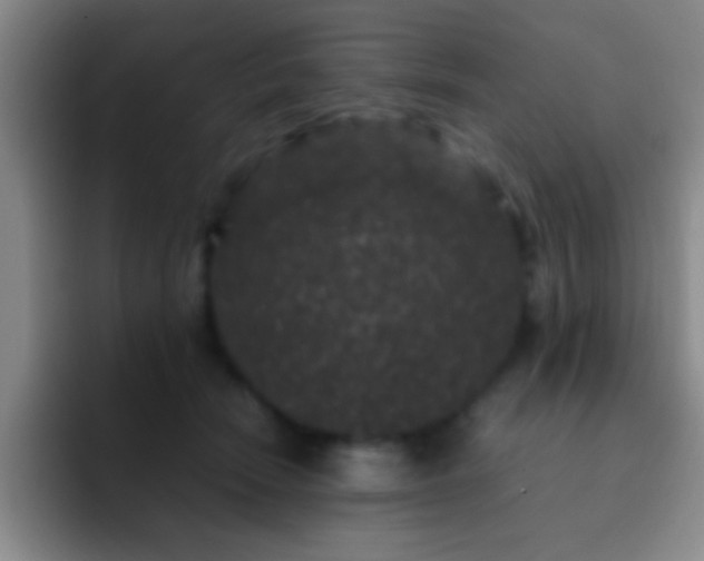 X0000092290466200709211216