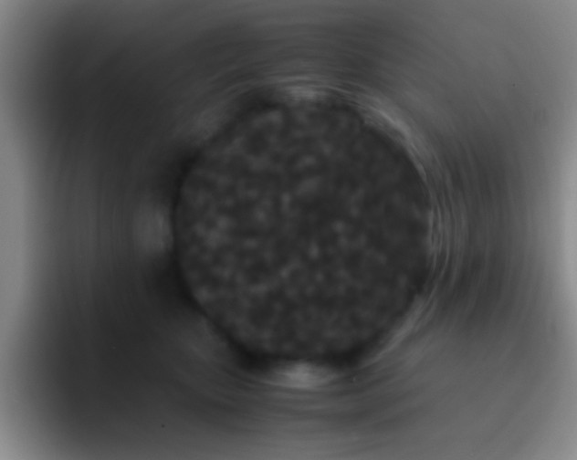 X0000092290467200709211216