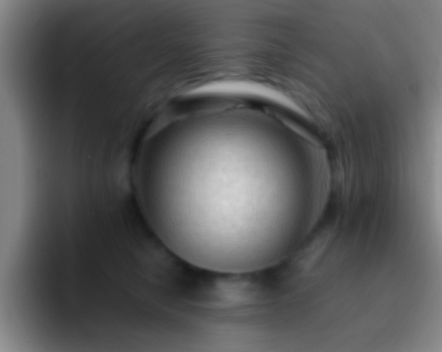 X0000092290470200709211216