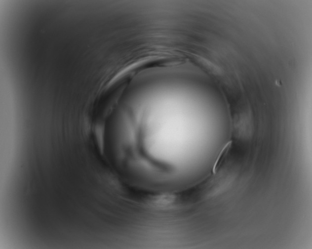 X0000092290474200709211216