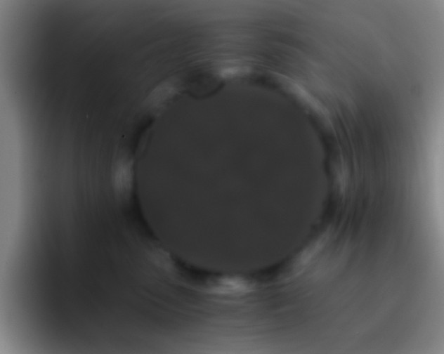 X0000092290475200709211216