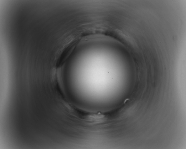 X0000092290480200709211216