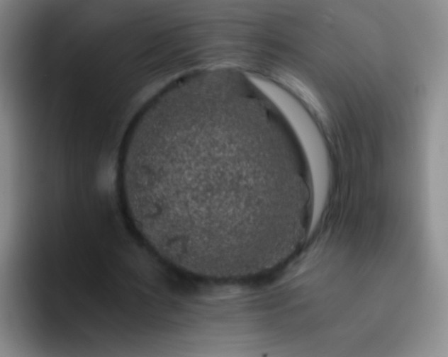 X0000092290483200709211216