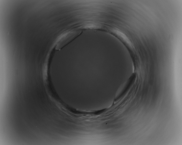 X0000092290484200709211216