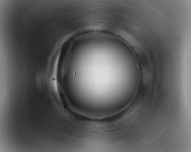 X0000092290486200709211216