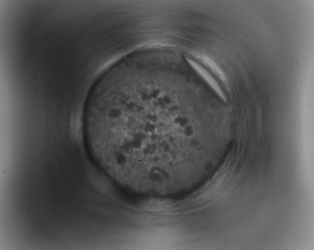 X0000092290487200709211216