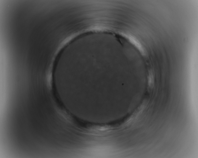 X0000092290488200709211216