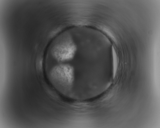 X0000092290491200709211216