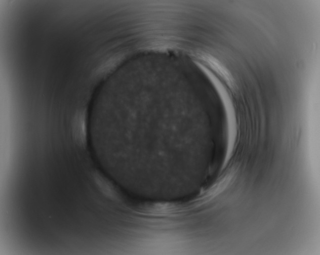 X0000092290493200709211216