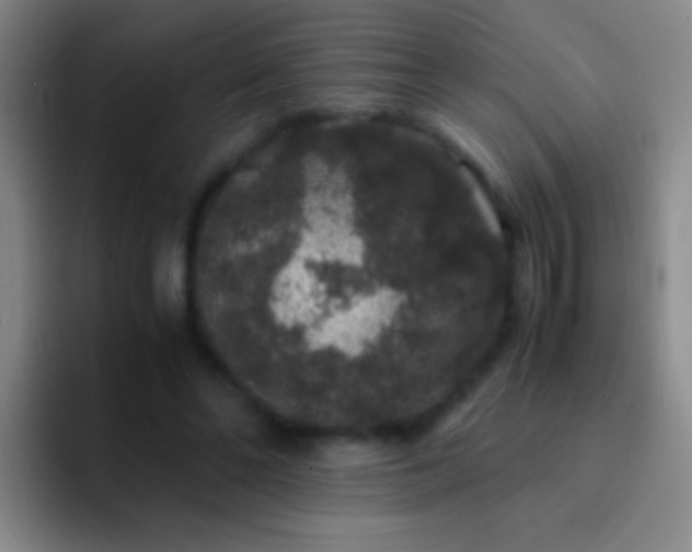 X0000092290494200709211216